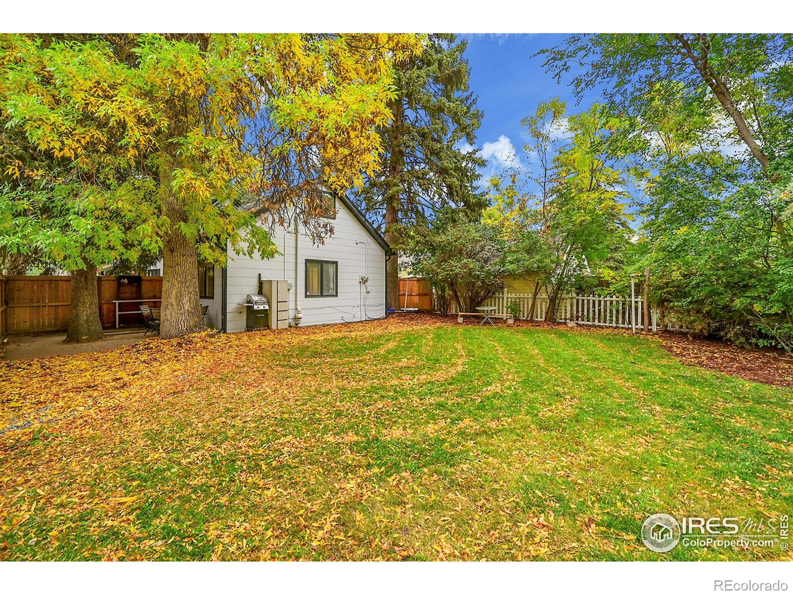 MLS Image #6 for 530  peterson street,fort collins, Colorado