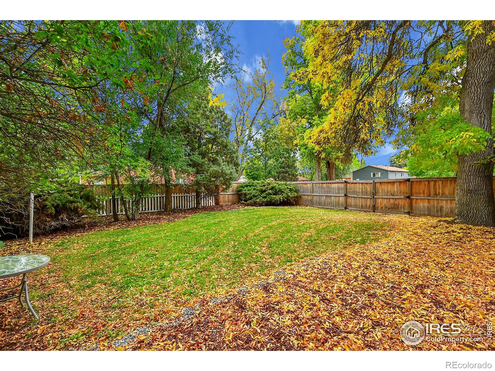 MLS Image #7 for 530  peterson street,fort collins, Colorado