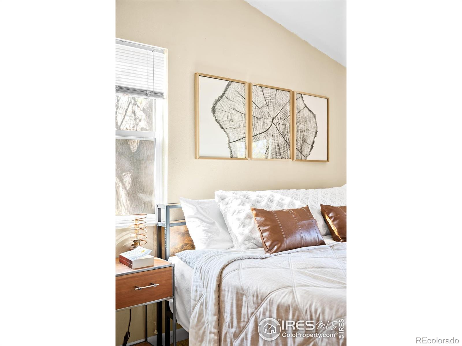 MLS Image #13 for 4458  driftwood place,boulder, Colorado