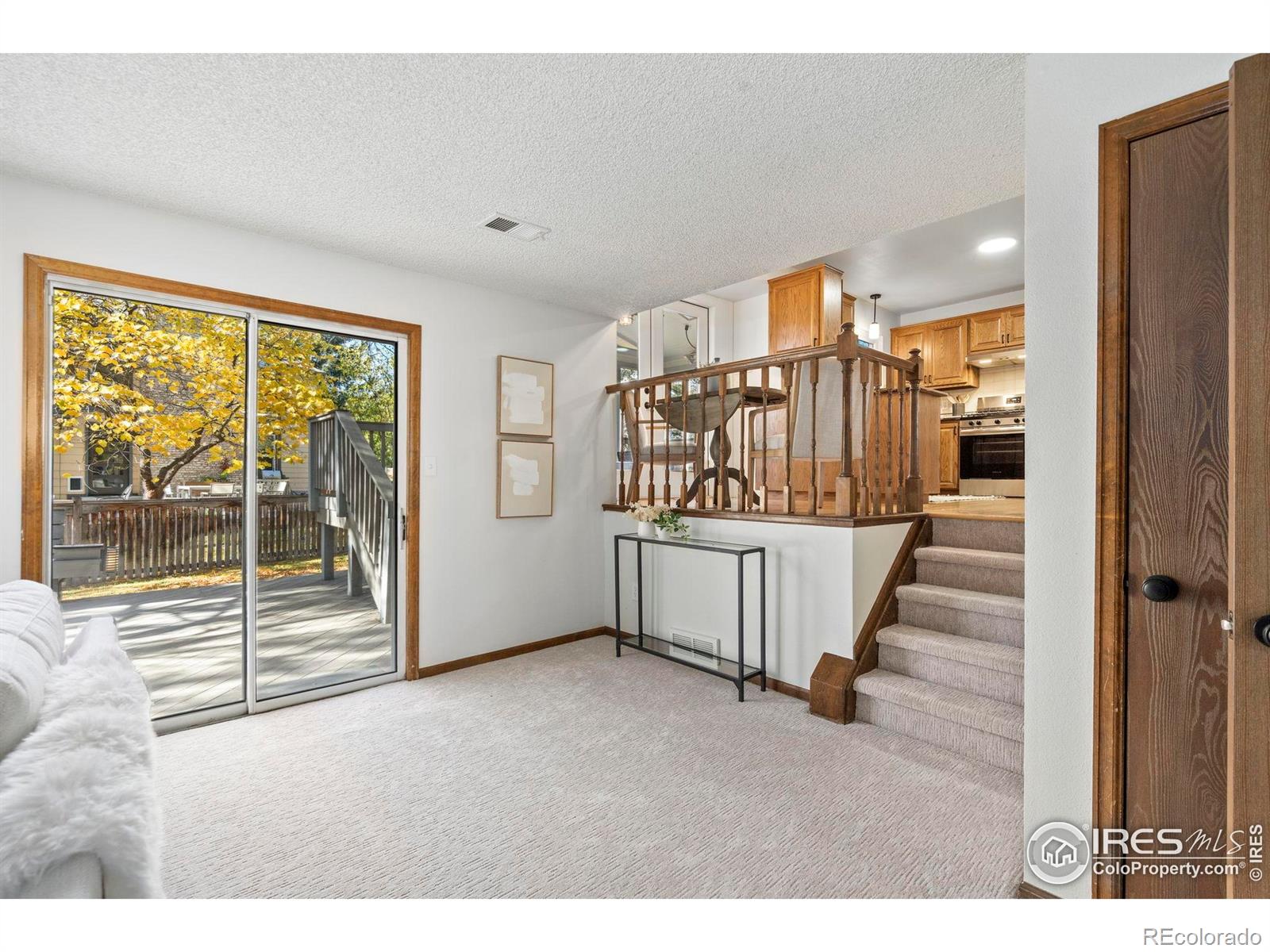 MLS Image #15 for 1213  ashlawn court,fort collins, Colorado