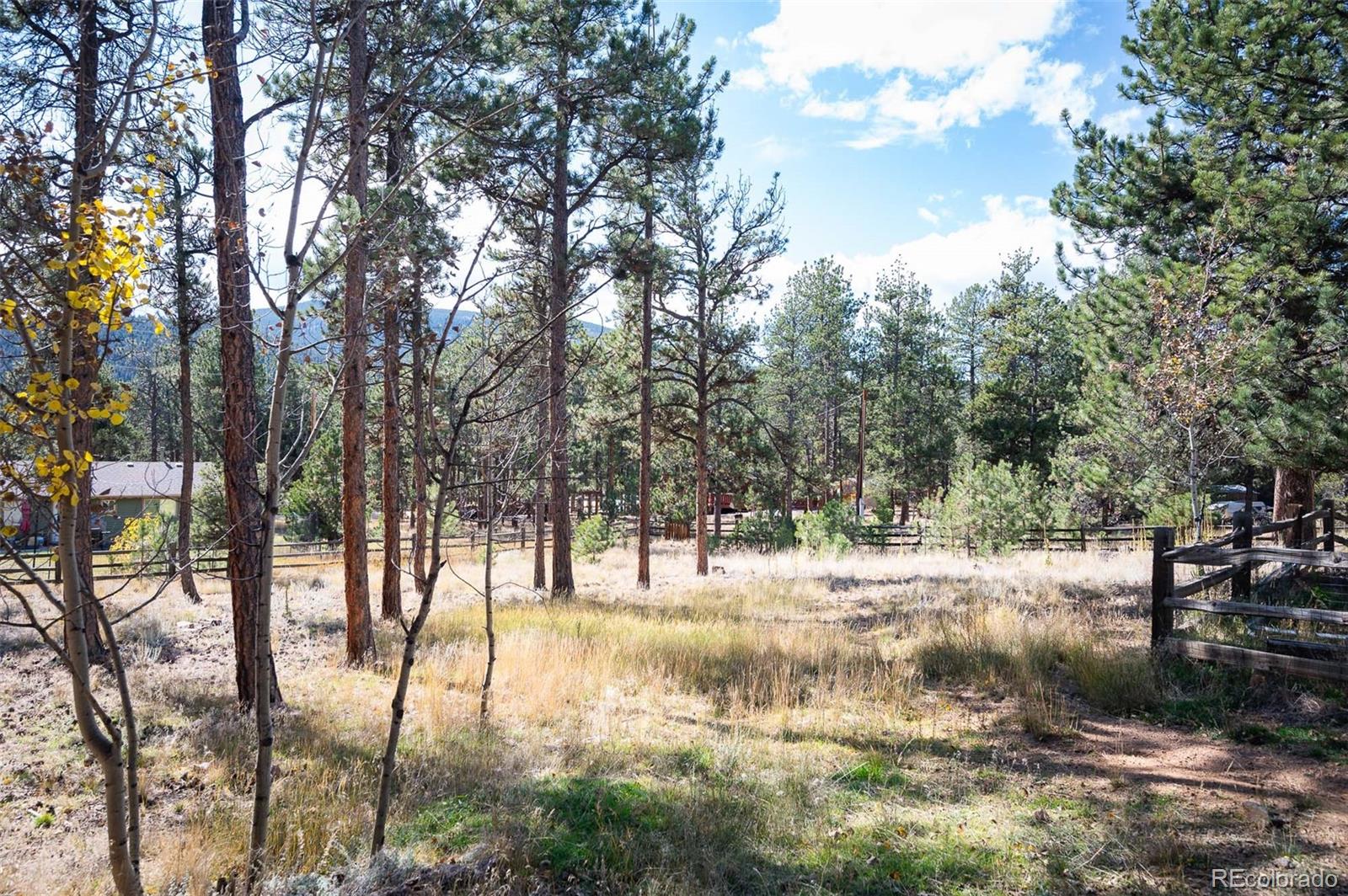 MLS Image #30 for 560  gunsmoke drive,bailey, Colorado