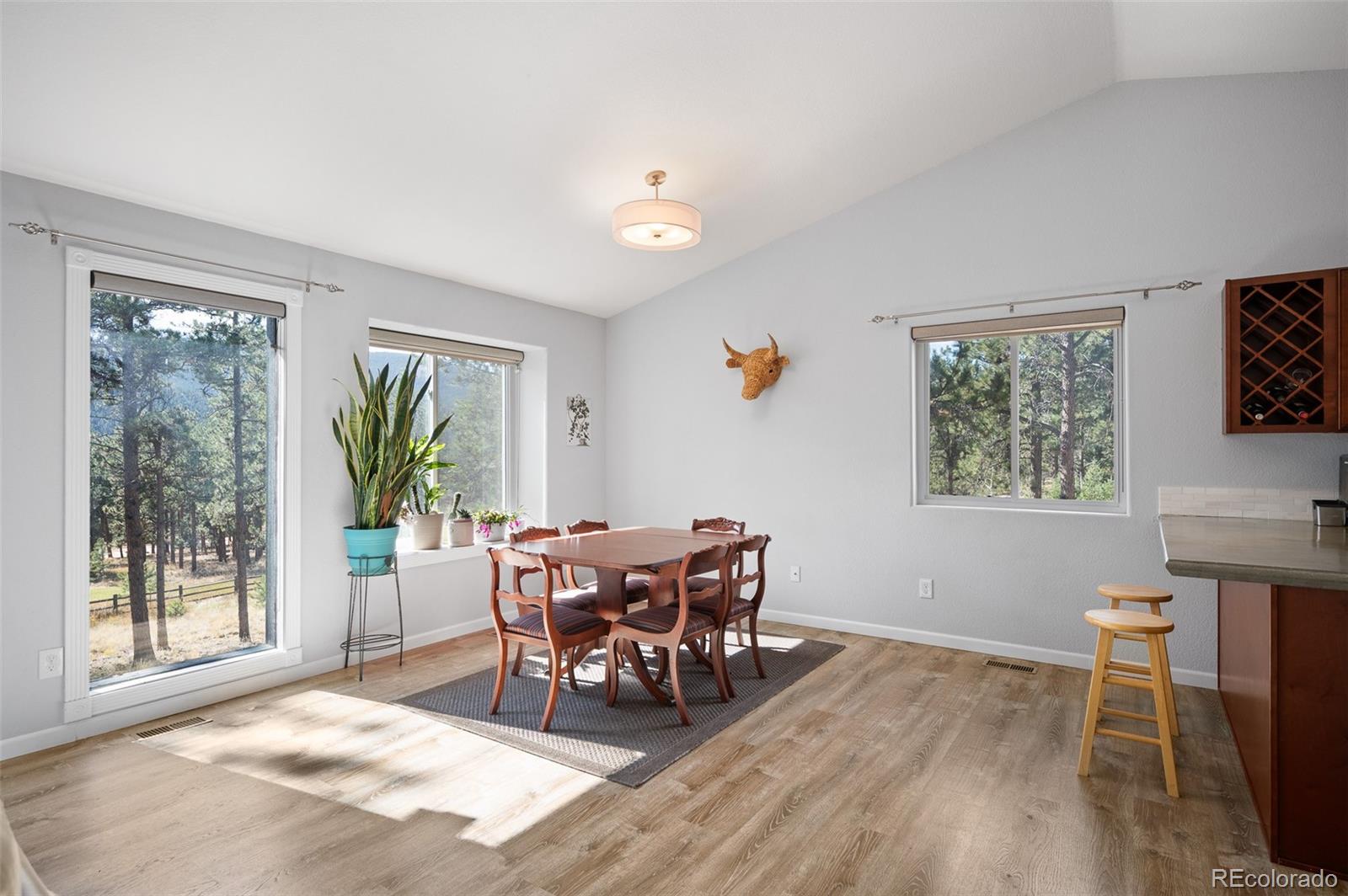MLS Image #6 for 560  gunsmoke drive,bailey, Colorado