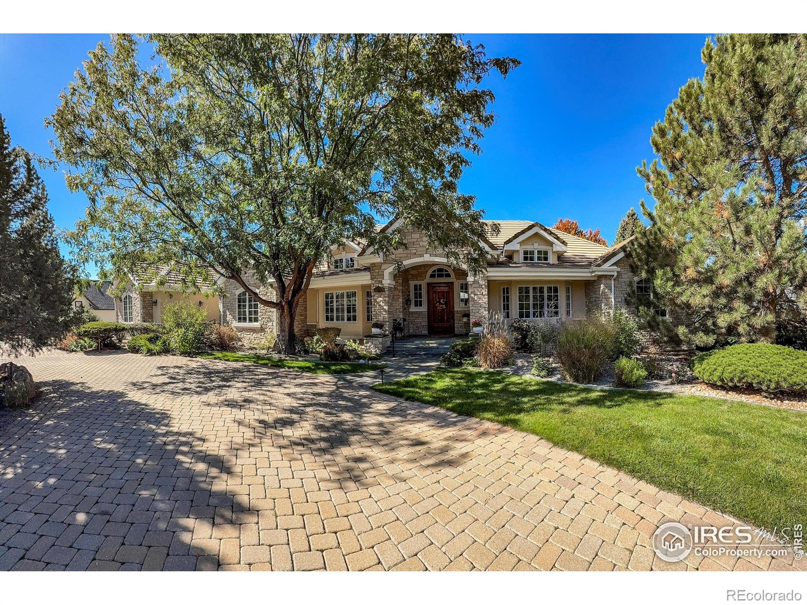 MLS Image #2 for 601  loomis court,longmont, Colorado