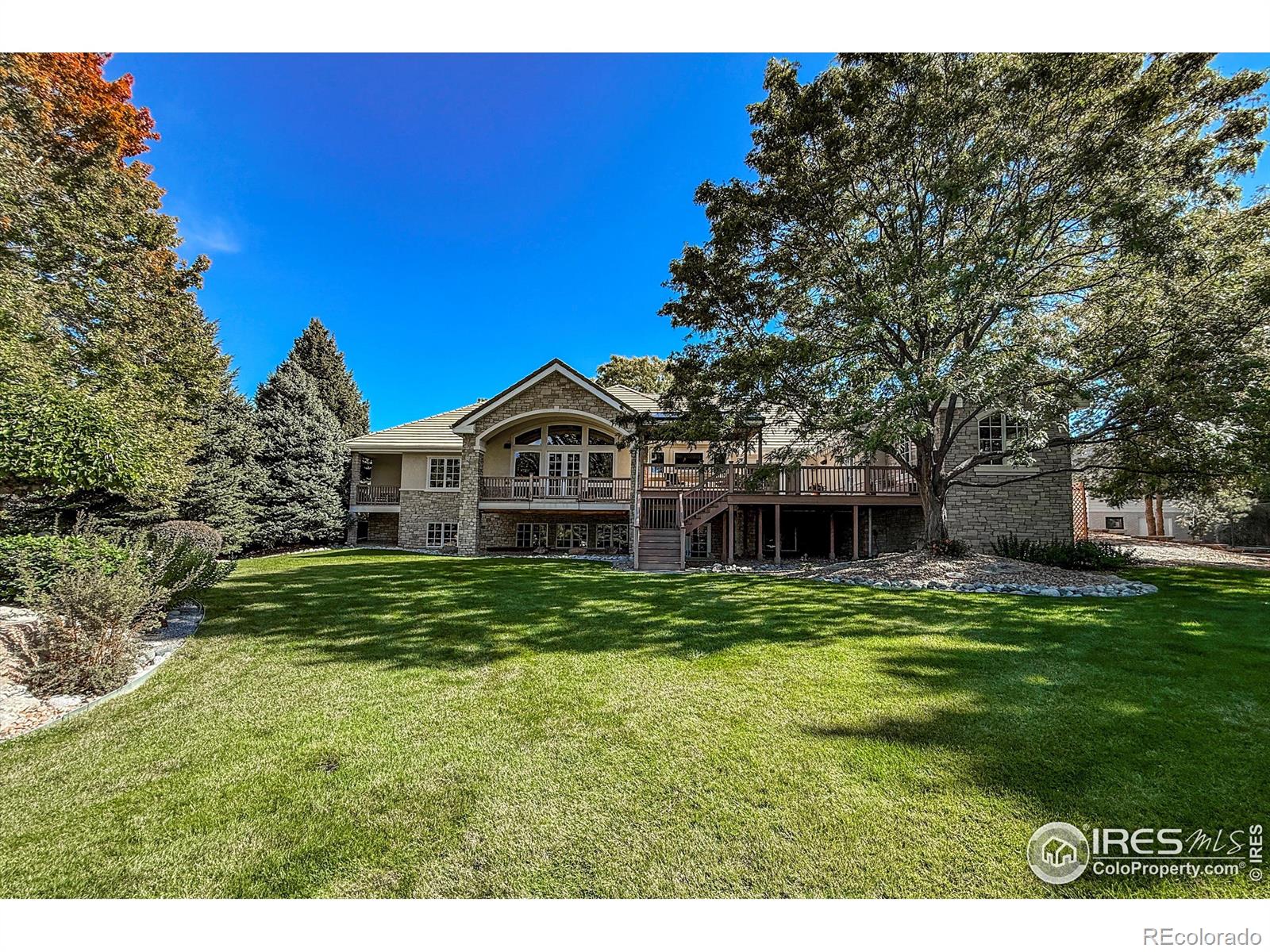 MLS Image #36 for 601  loomis court,longmont, Colorado