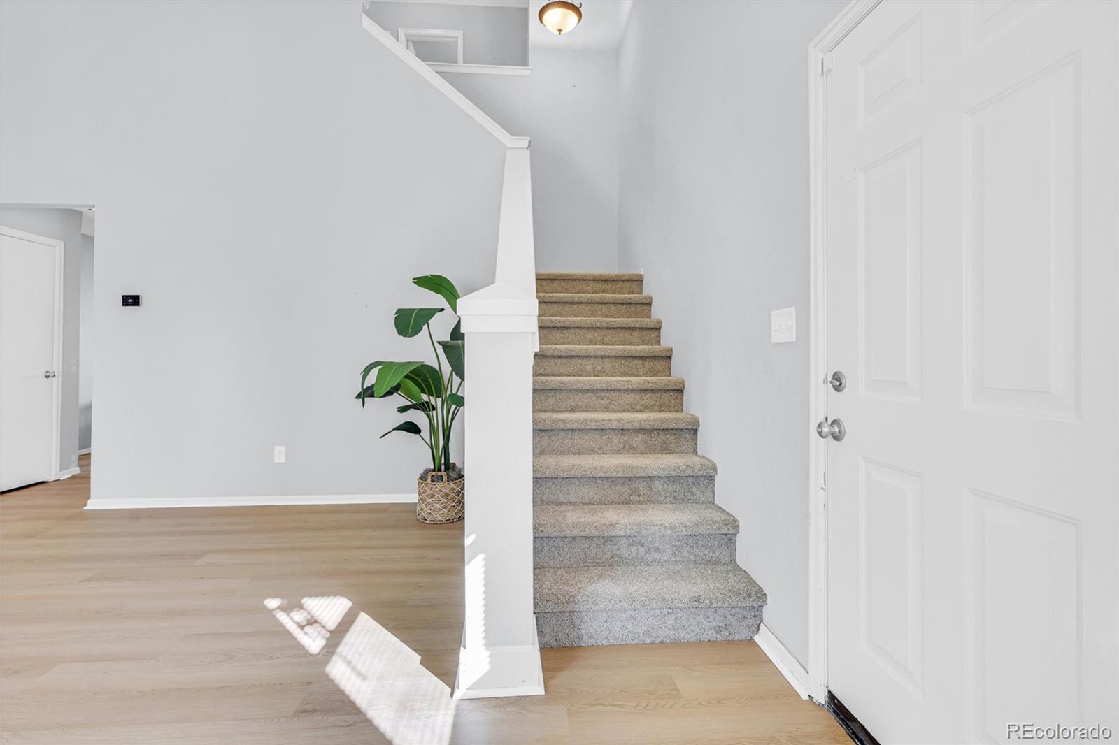 MLS Image #21 for 11209  vilas street,parker, Colorado