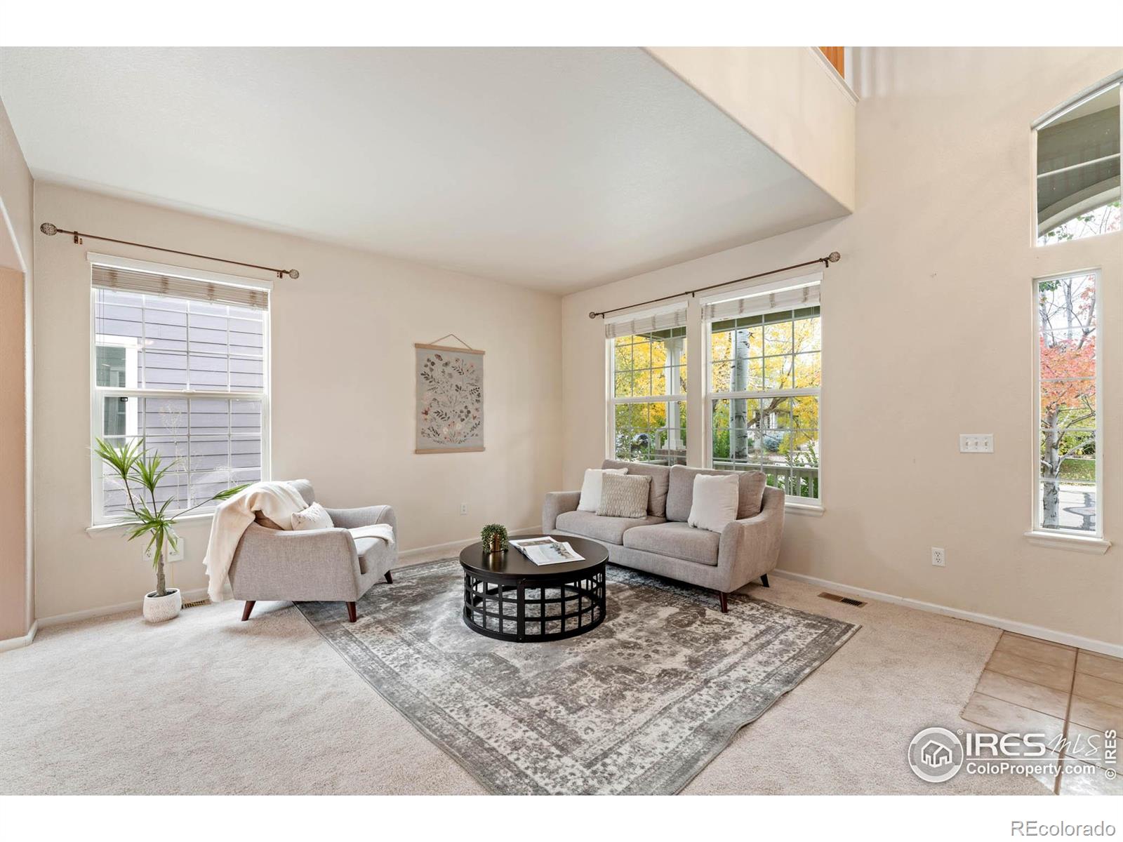 MLS Image #13 for 1914  rannoch drive,longmont, Colorado