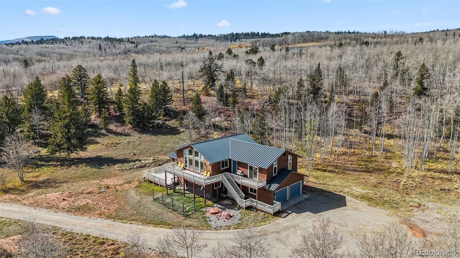 MLS Image #1 for 174  skid court,fairplay, Colorado