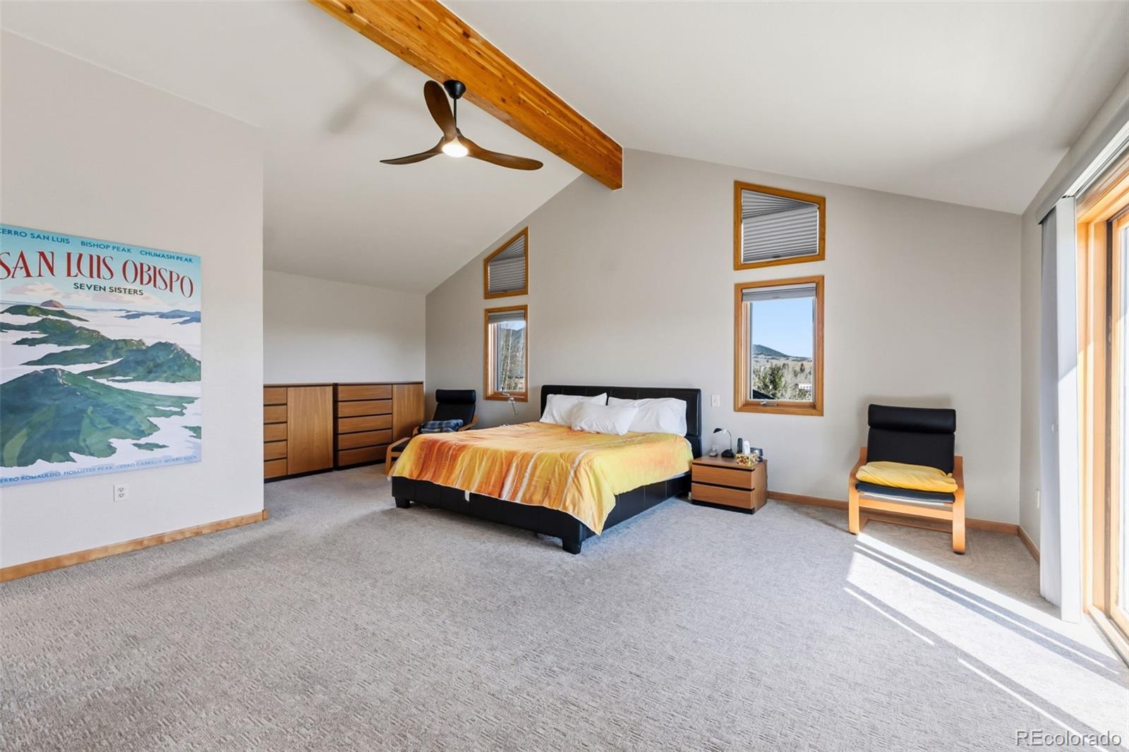 MLS Image #11 for 174  skid court,fairplay, Colorado