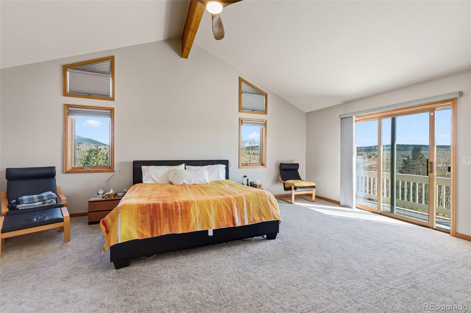MLS Image #12 for 174  skid court,fairplay, Colorado