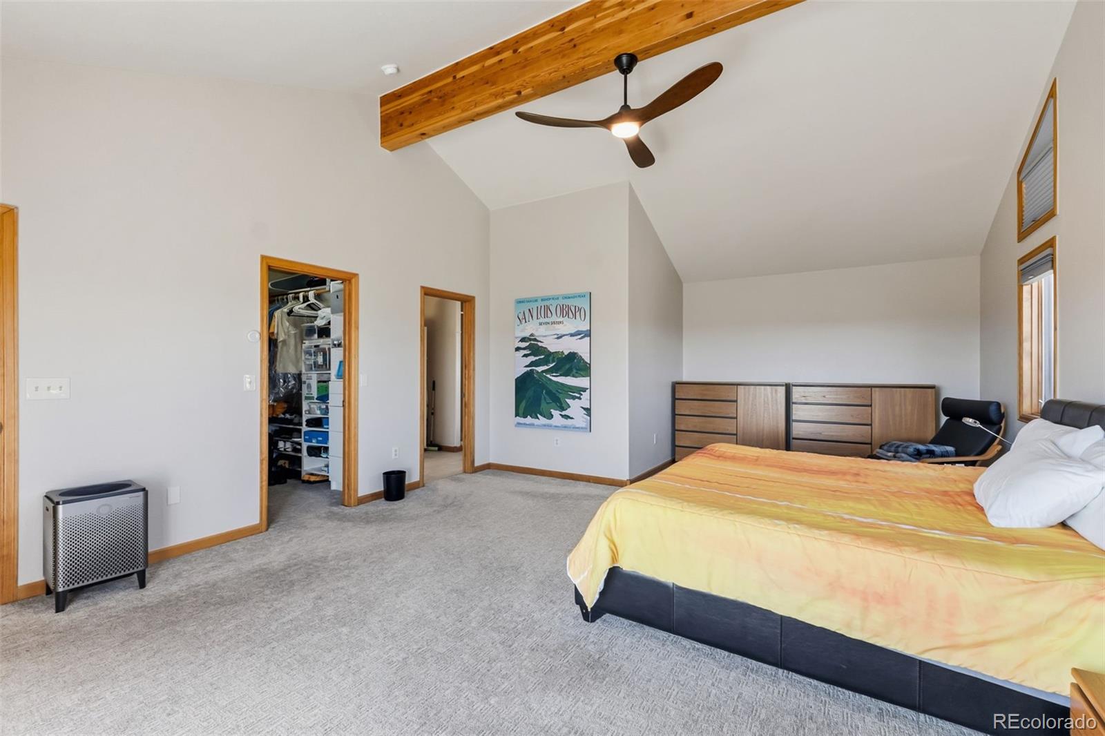 MLS Image #13 for 174  skid court,fairplay, Colorado