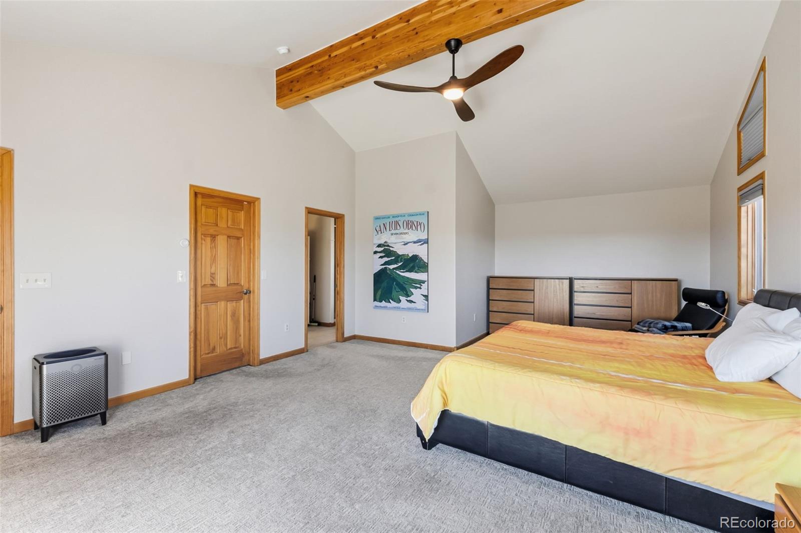 MLS Image #14 for 174  skid court,fairplay, Colorado