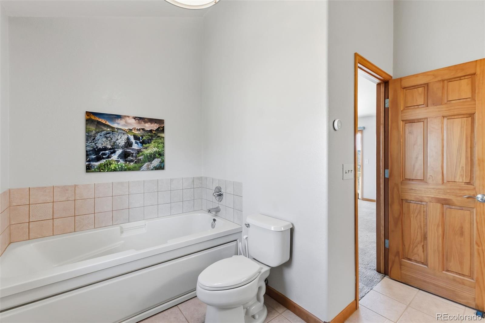 MLS Image #15 for 174  skid court,fairplay, Colorado