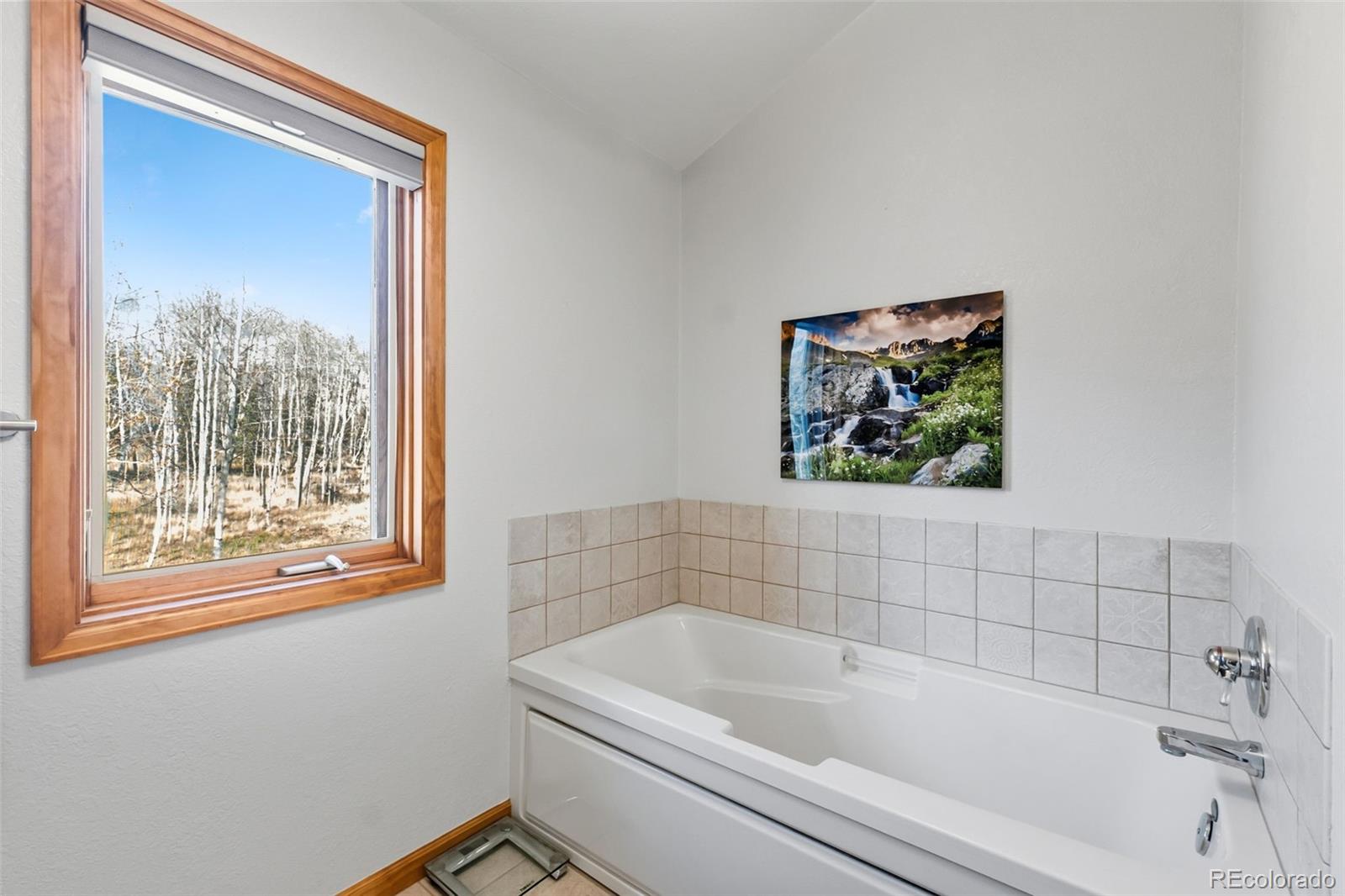 MLS Image #16 for 174  skid court,fairplay, Colorado
