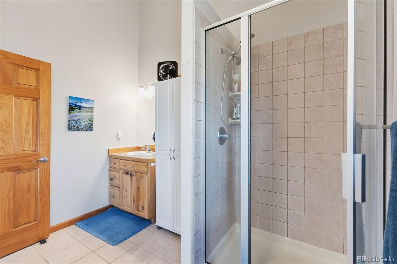 MLS Image #17 for 174  skid court,fairplay, Colorado