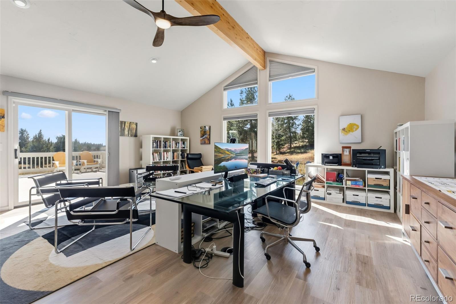 MLS Image #18 for 174  skid court,fairplay, Colorado
