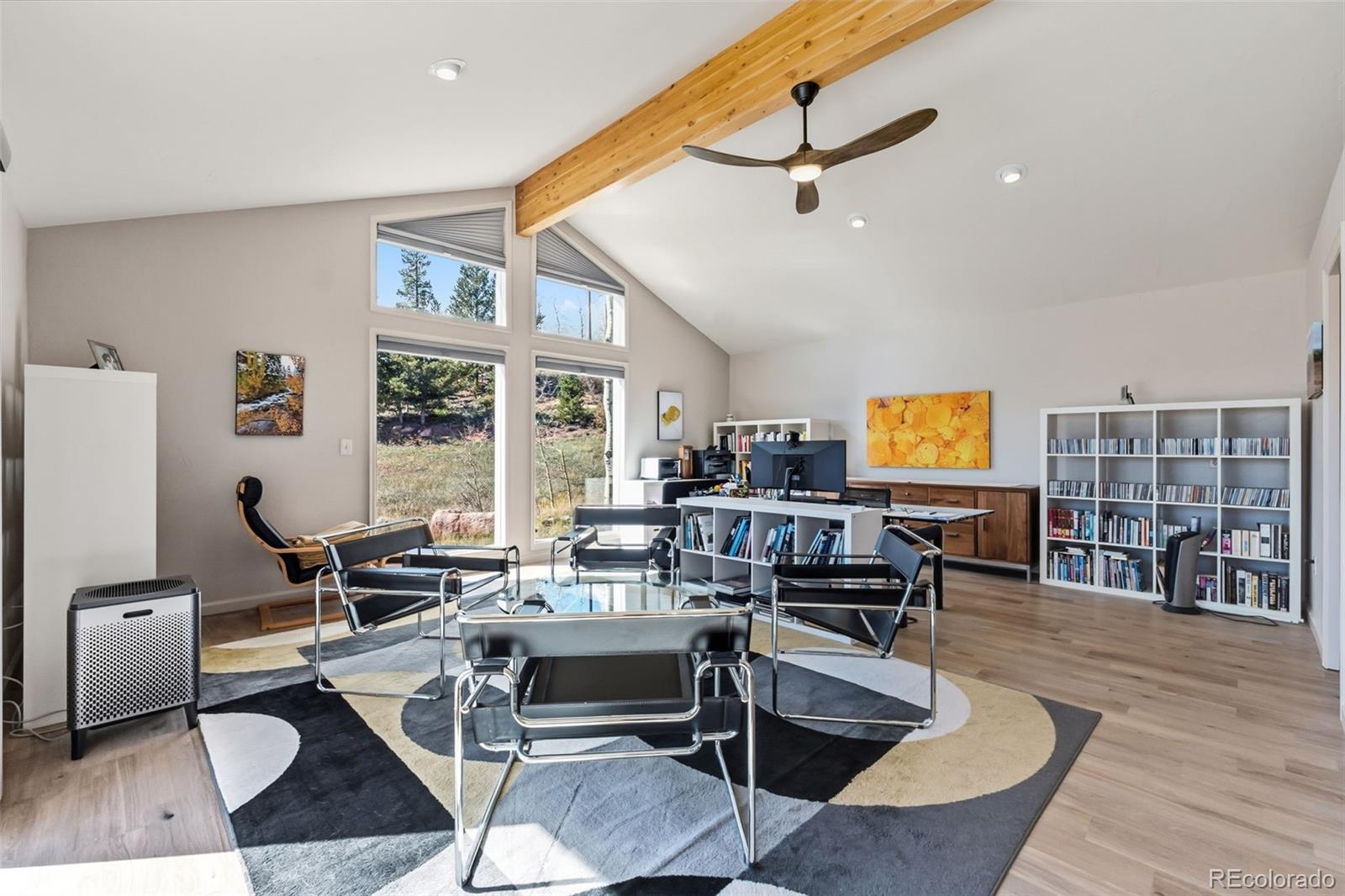 MLS Image #19 for 174  skid court,fairplay, Colorado