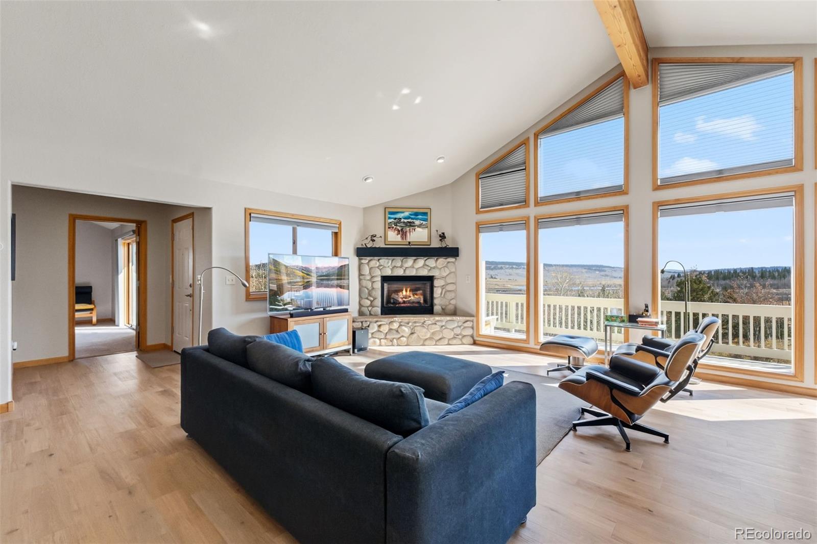 MLS Image #2 for 174  skid court,fairplay, Colorado