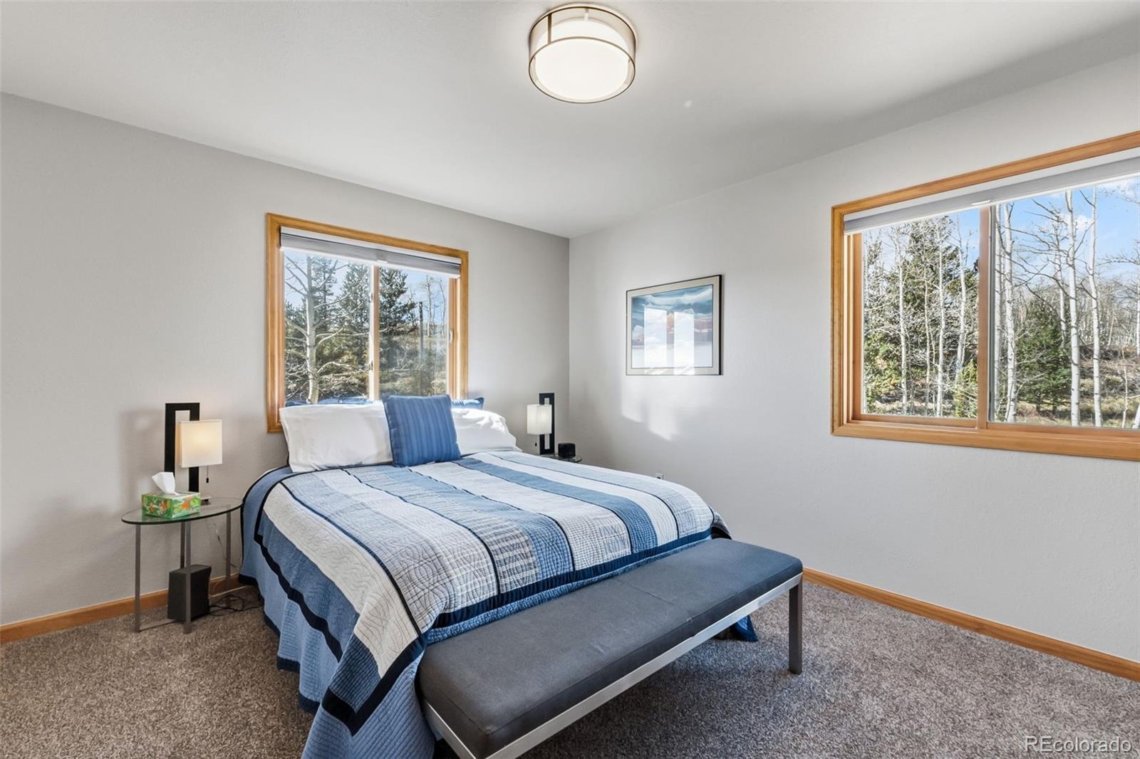 MLS Image #22 for 174  skid court,fairplay, Colorado