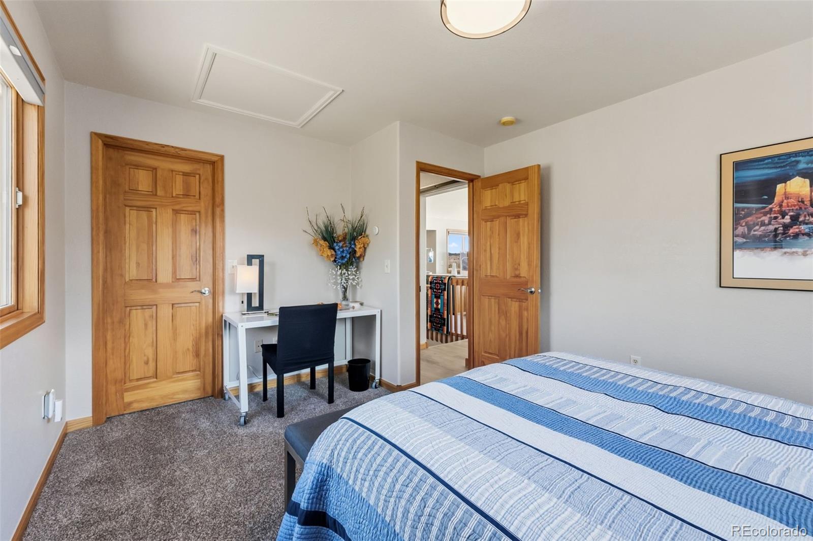 MLS Image #23 for 174  skid court,fairplay, Colorado