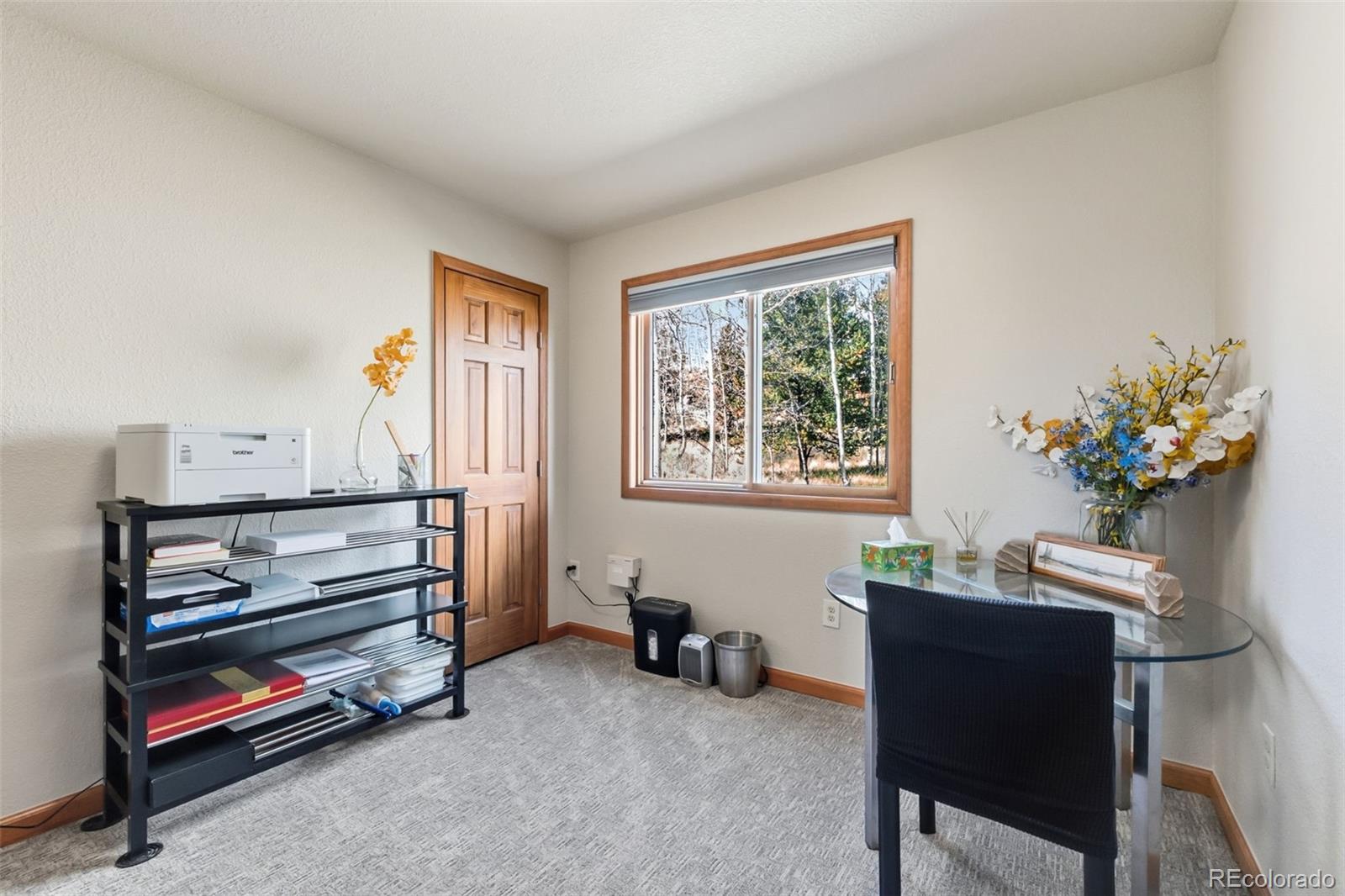 MLS Image #24 for 174  skid court,fairplay, Colorado