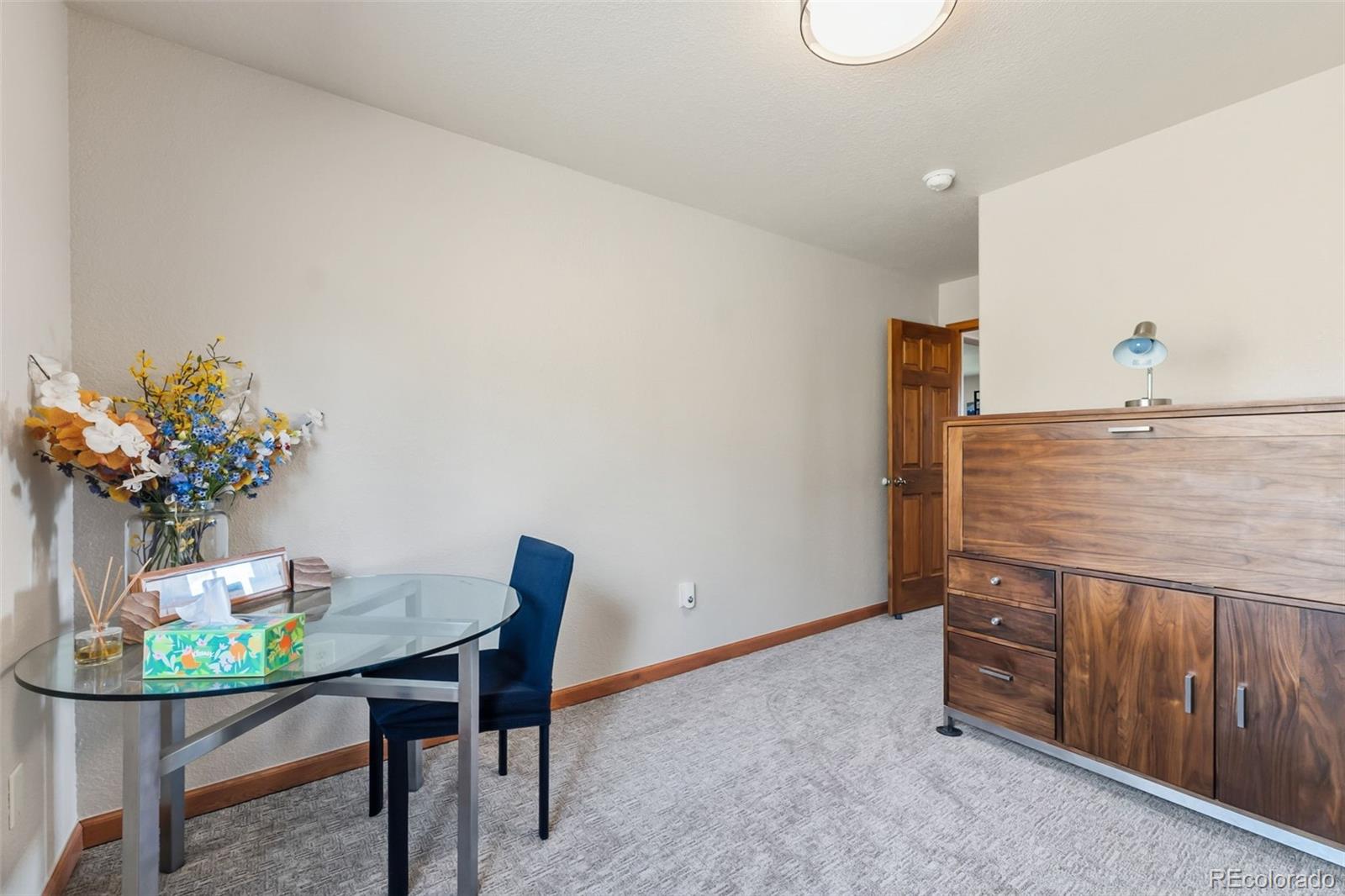 MLS Image #25 for 174  skid court,fairplay, Colorado
