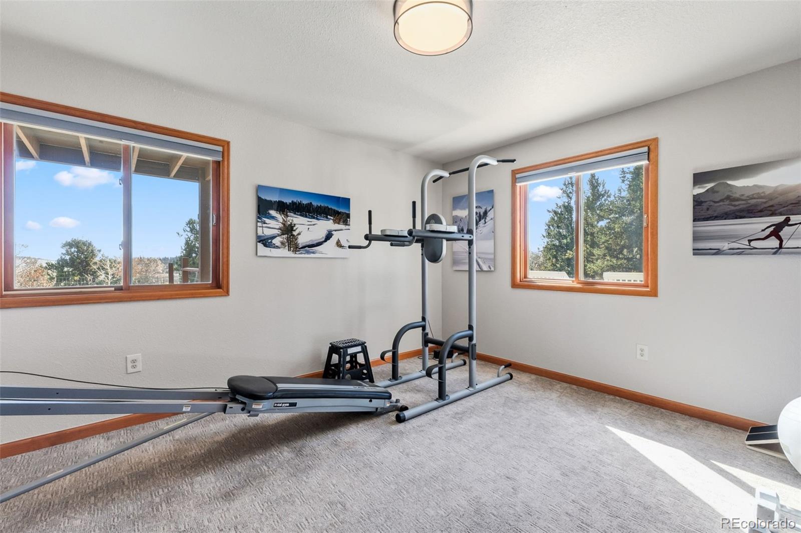 MLS Image #26 for 174  skid court,fairplay, Colorado