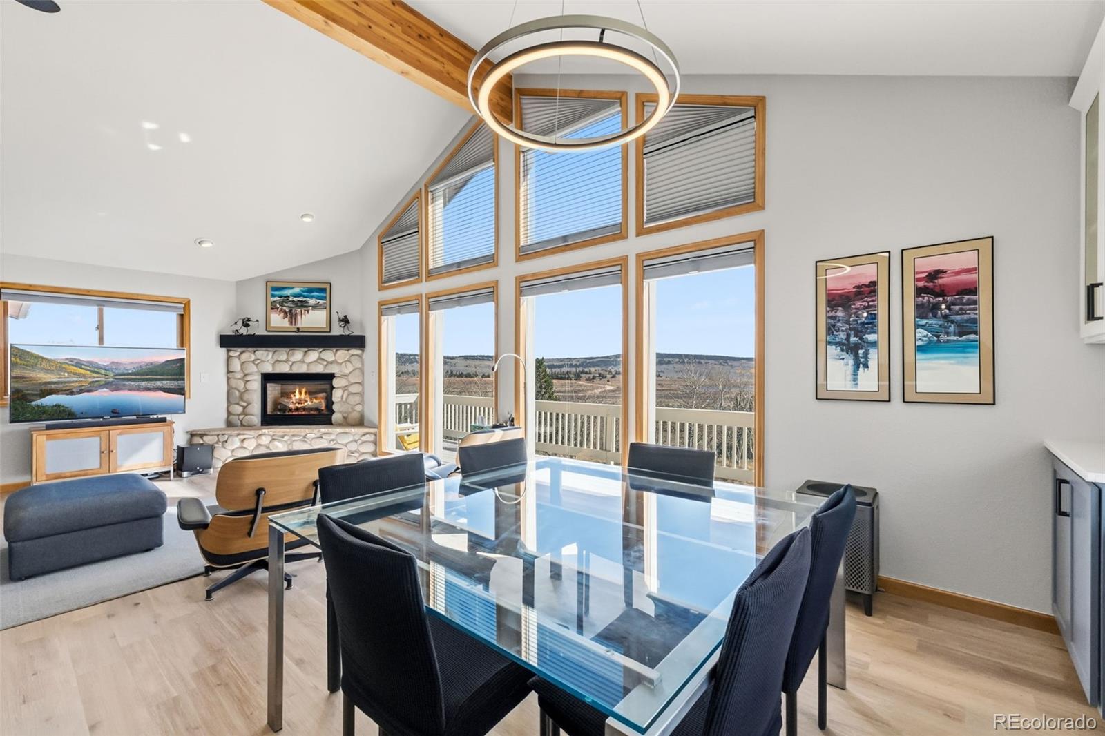 MLS Image #3 for 174  skid court,fairplay, Colorado