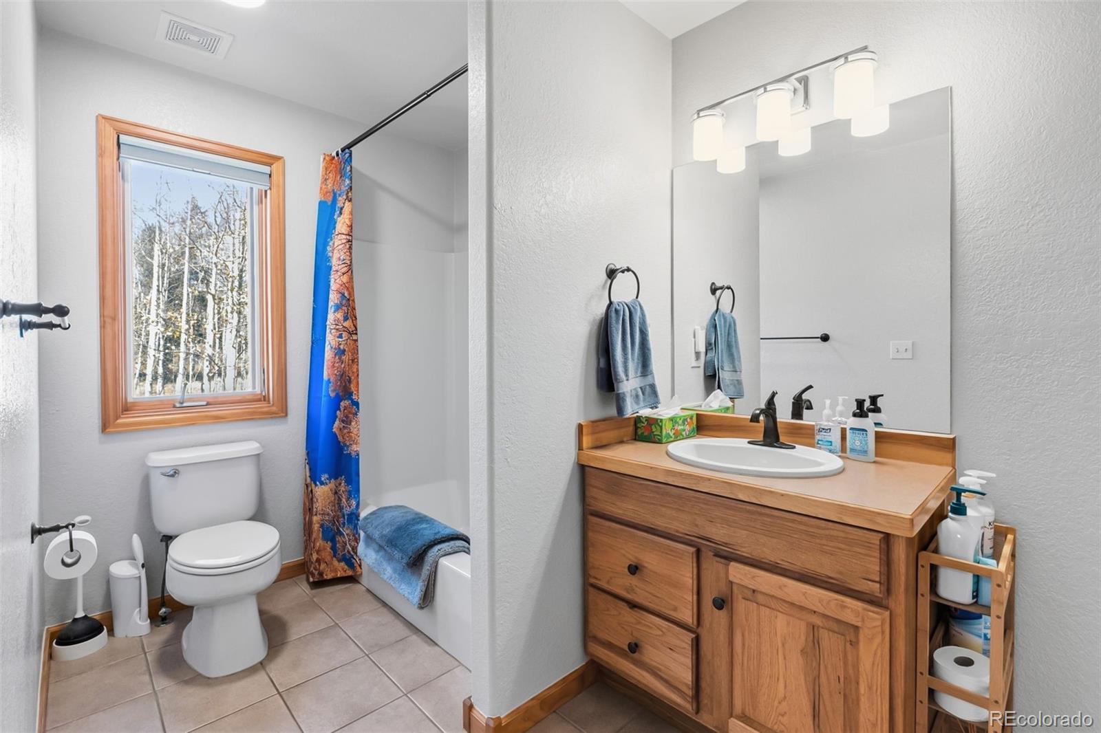 MLS Image #30 for 174  skid court,fairplay, Colorado