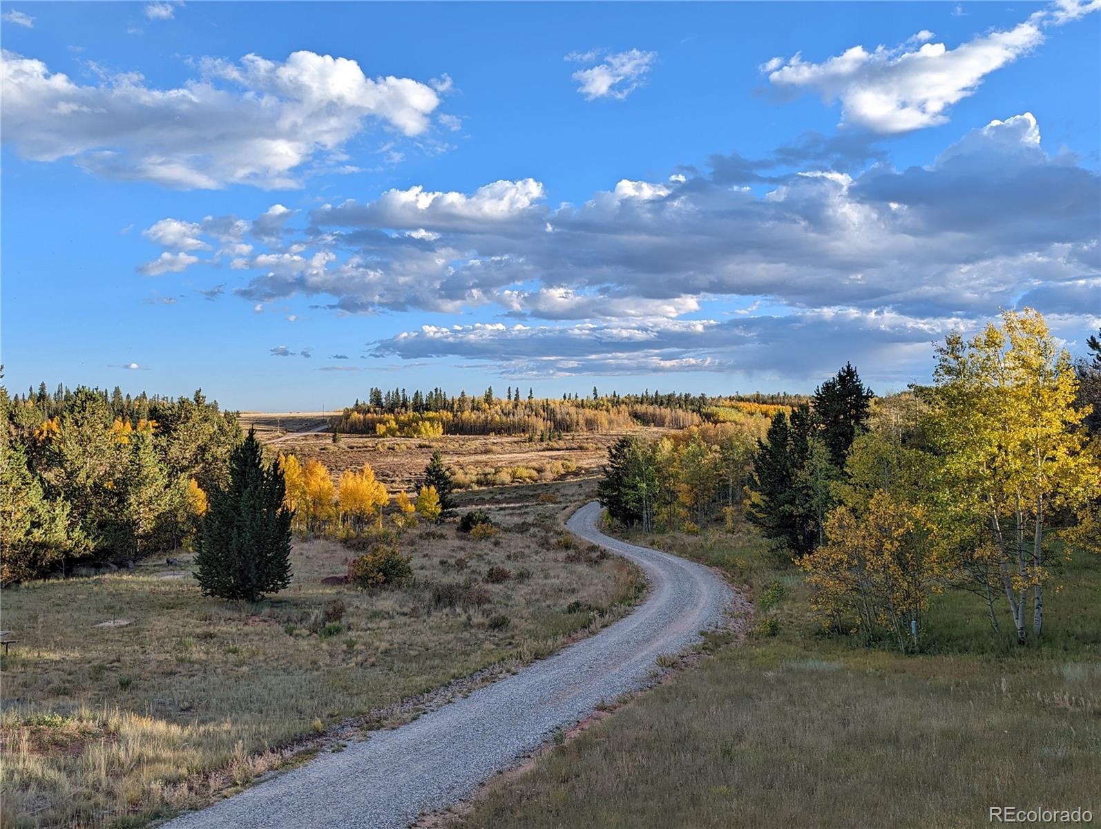 MLS Image #33 for 174  skid court,fairplay, Colorado