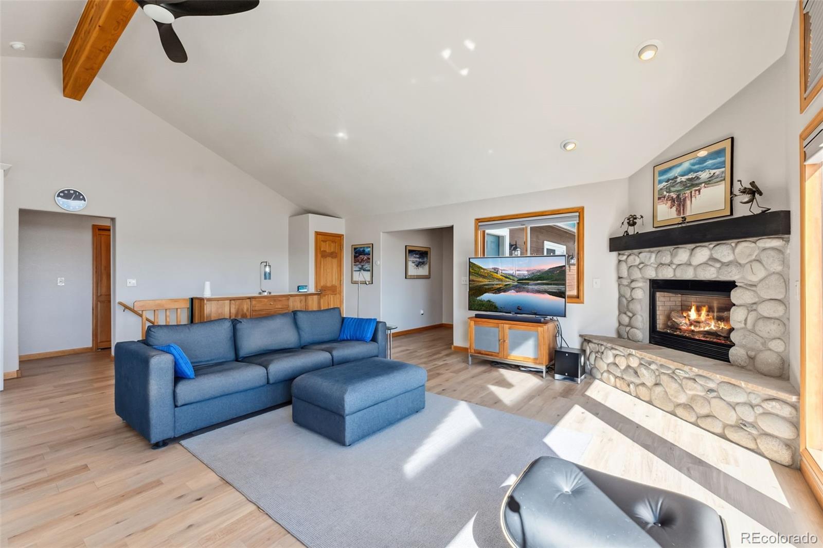 MLS Image #4 for 174  skid court,fairplay, Colorado