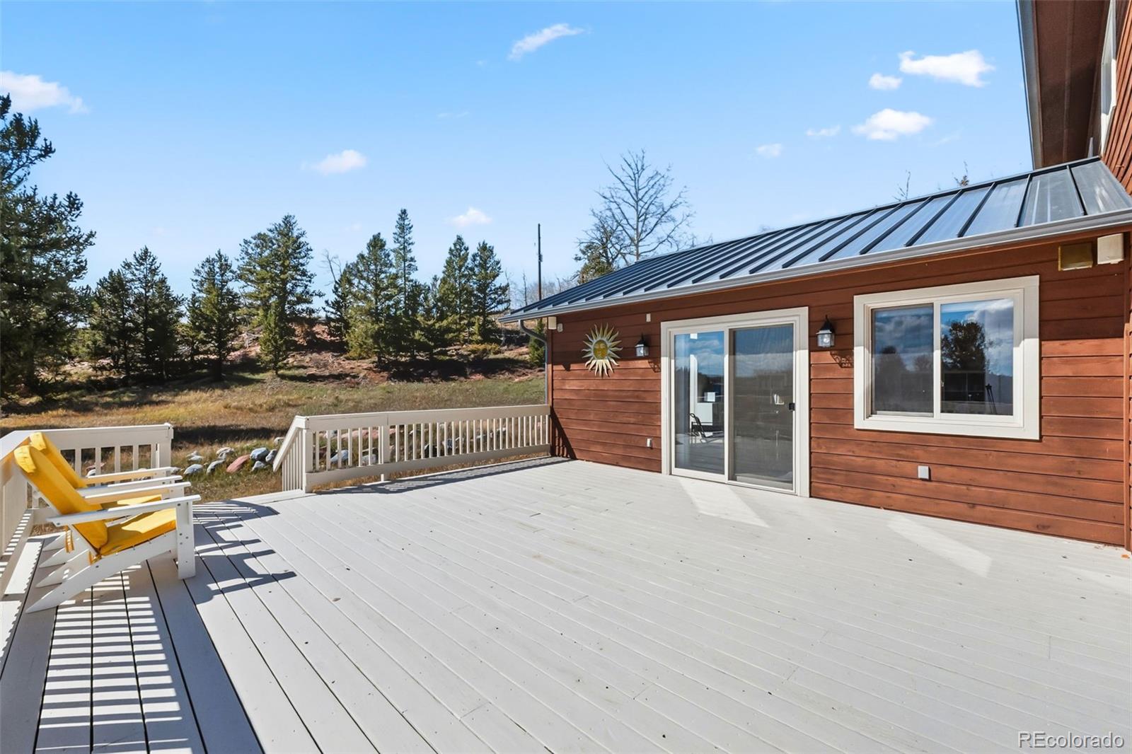 MLS Image #42 for 174  skid court,fairplay, Colorado