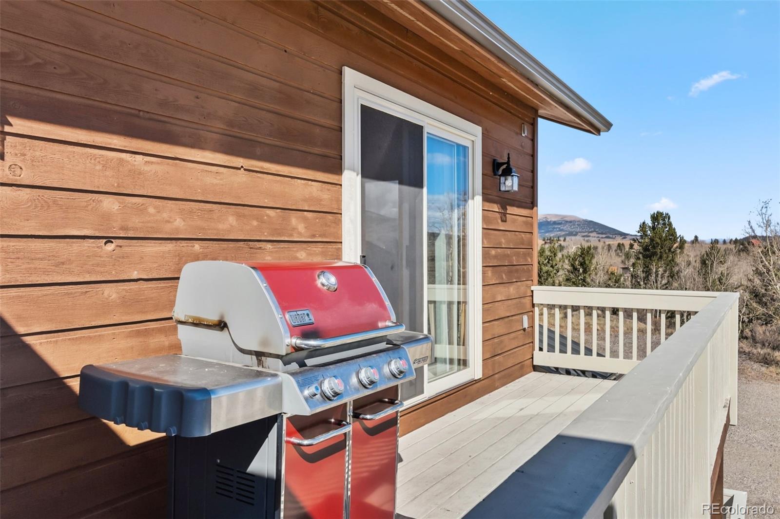 MLS Image #44 for 174  skid court,fairplay, Colorado