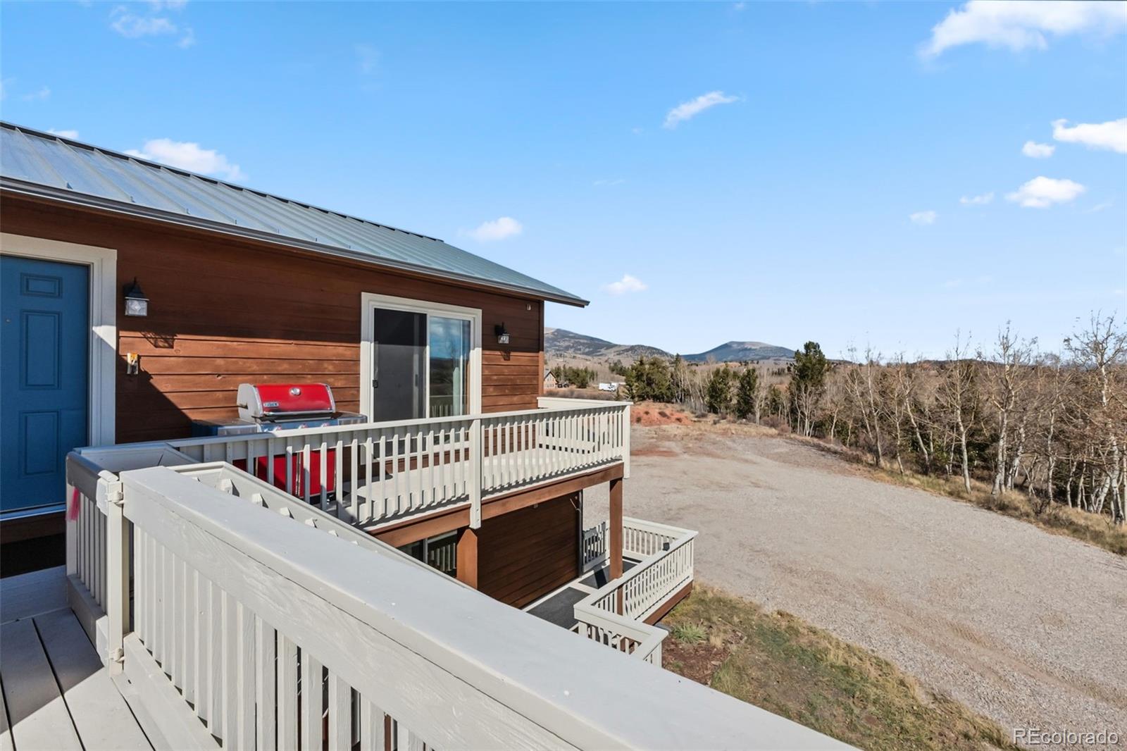MLS Image #46 for 174  skid court,fairplay, Colorado