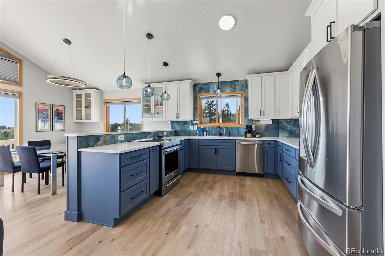 MLS Image #6 for 174  skid court,fairplay, Colorado