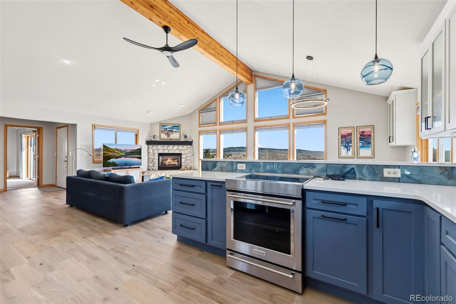 MLS Image #7 for 174  skid court,fairplay, Colorado