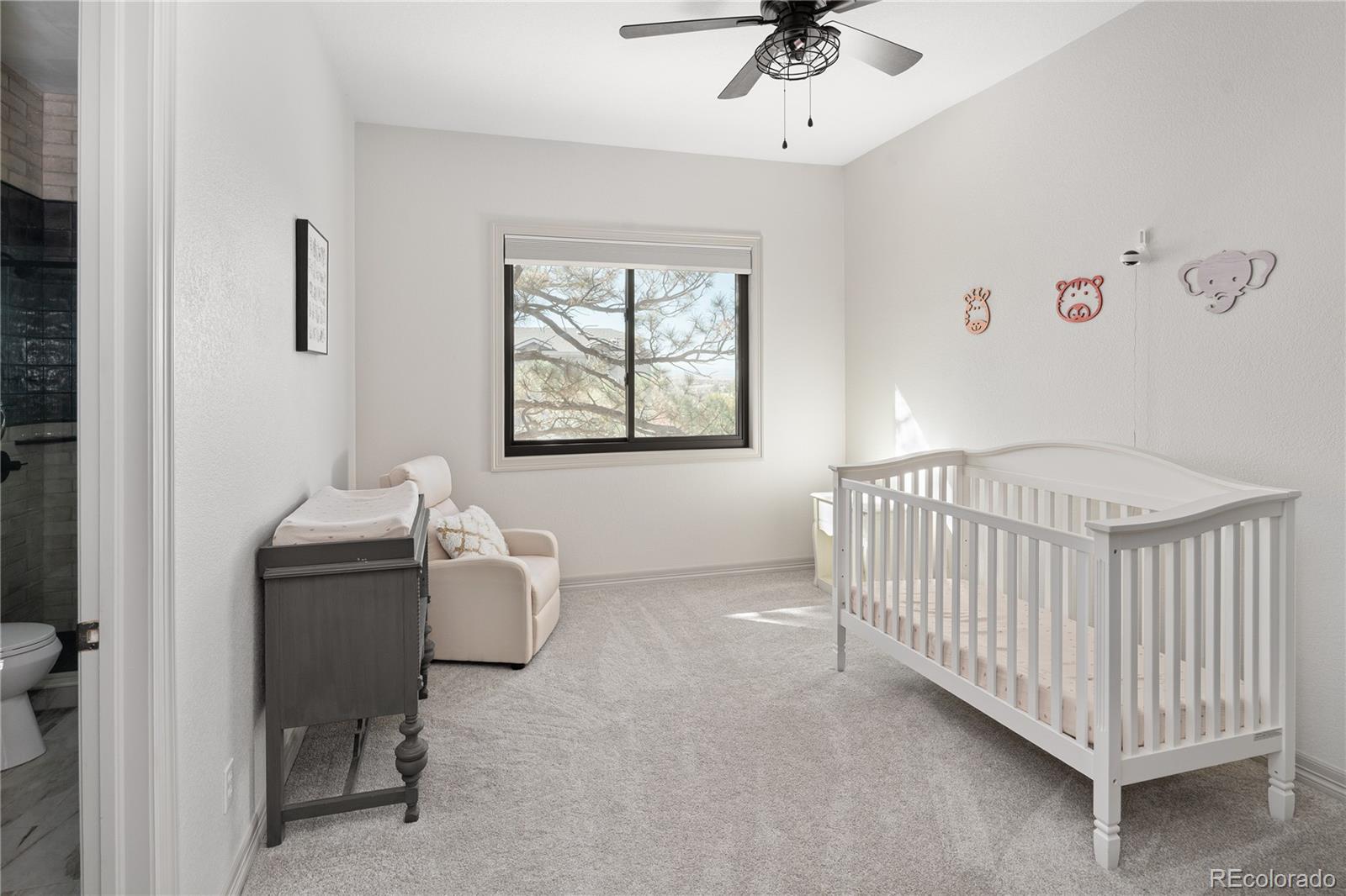 MLS Image #21 for 20132 e shady ridge road,parker, Colorado