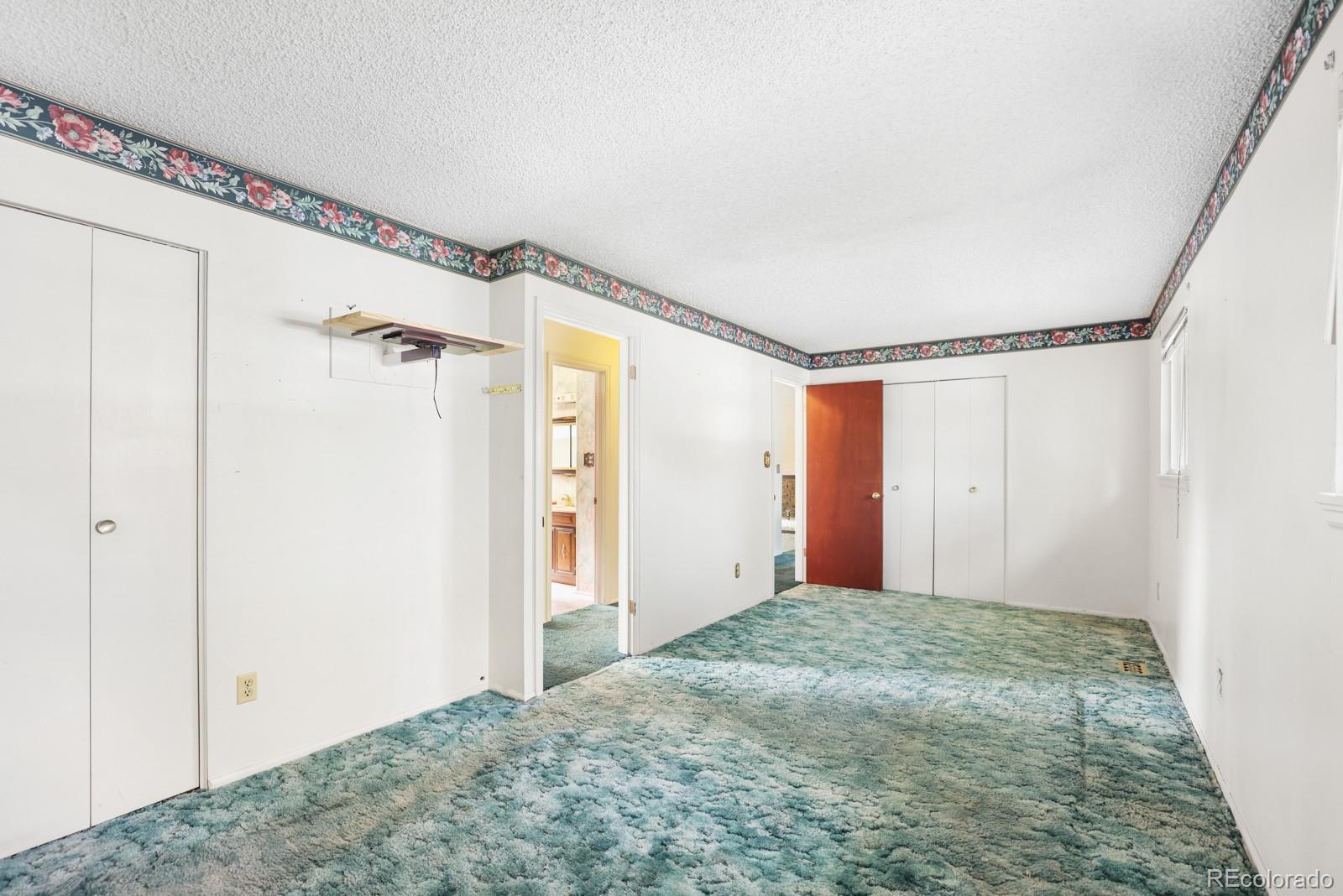 MLS Image #10 for 1117  mt werner circle,colorado springs, Colorado