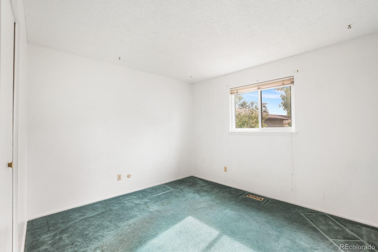 MLS Image #12 for 1117  mt werner circle,colorado springs, Colorado