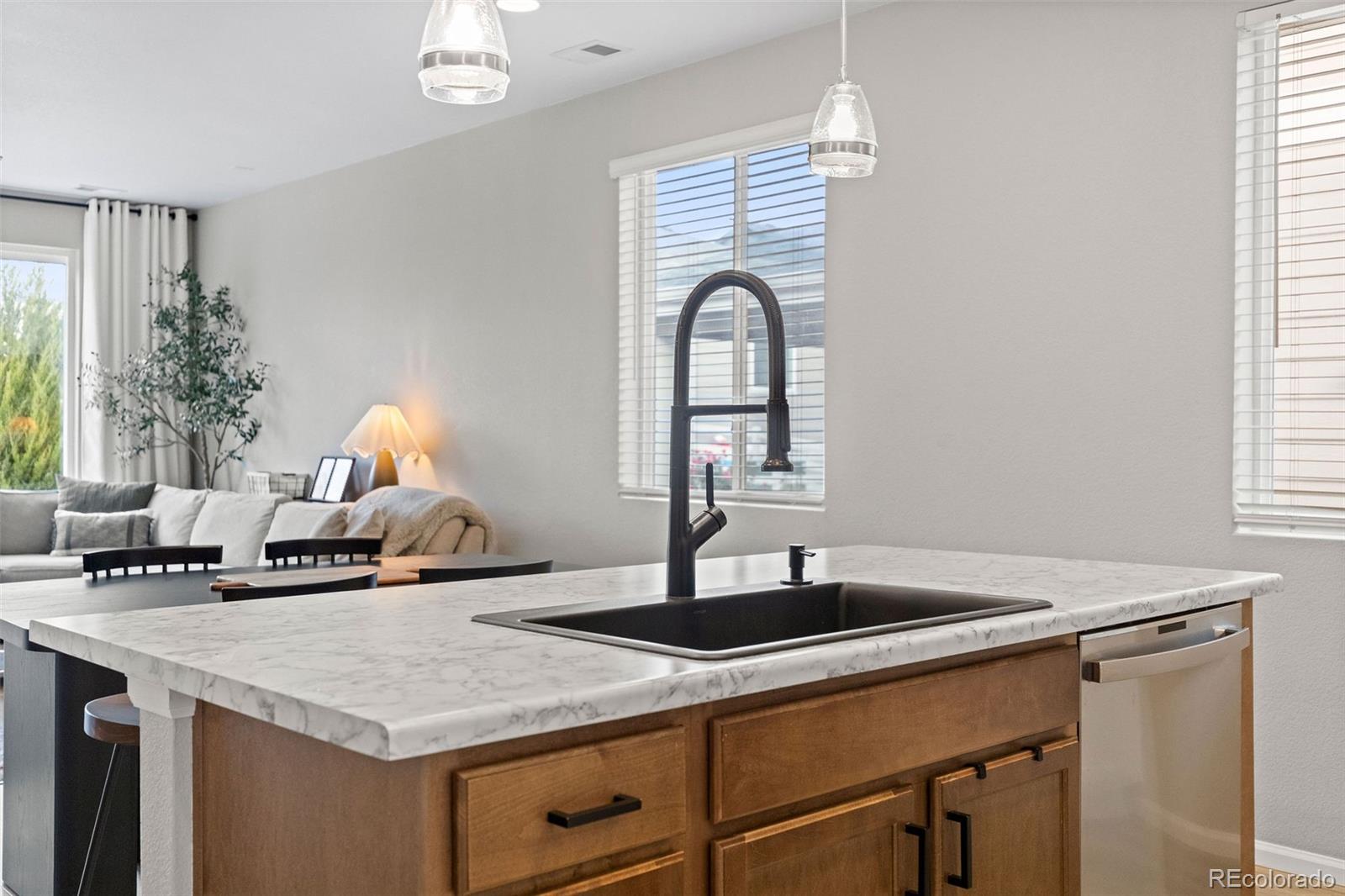 MLS Image #12 for 5347  gray wolf lane,castle rock, Colorado