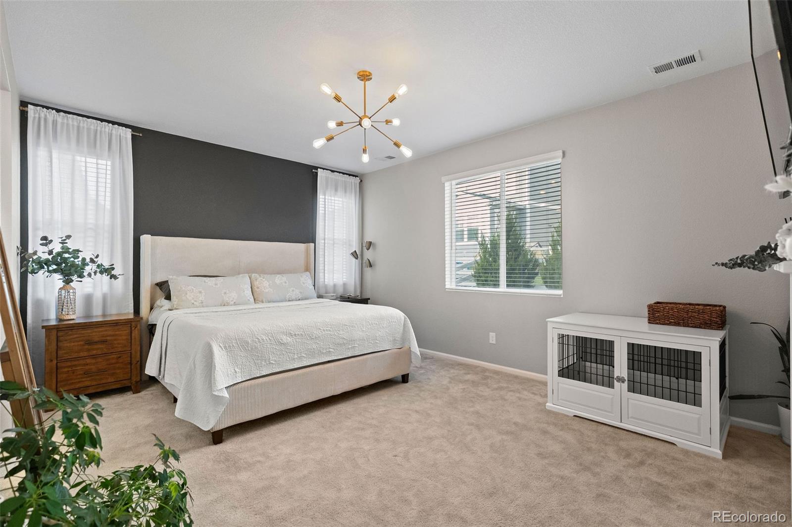 MLS Image #17 for 5347  gray wolf lane,castle rock, Colorado
