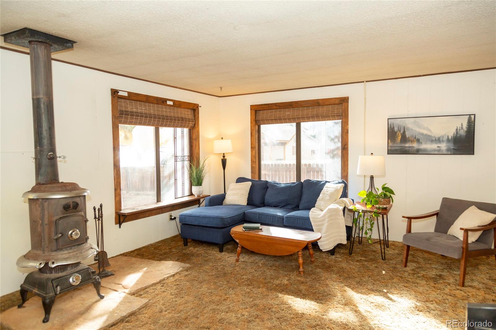 MLS Image #8 for 102 e 4th avenue,creede, Colorado