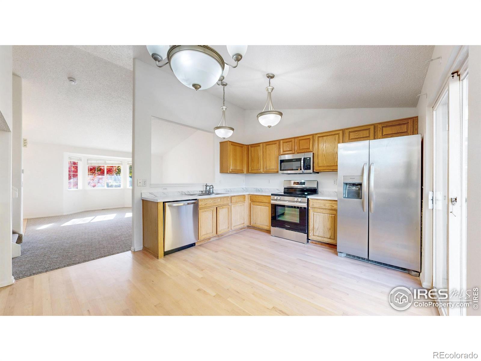 MLS Image #10 for 22077  day star drive,parker, Colorado