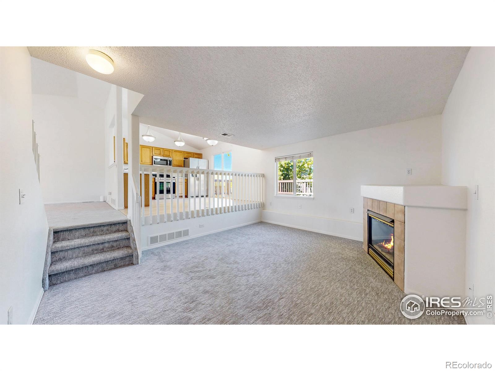 MLS Image #13 for 22077  day star drive,parker, Colorado