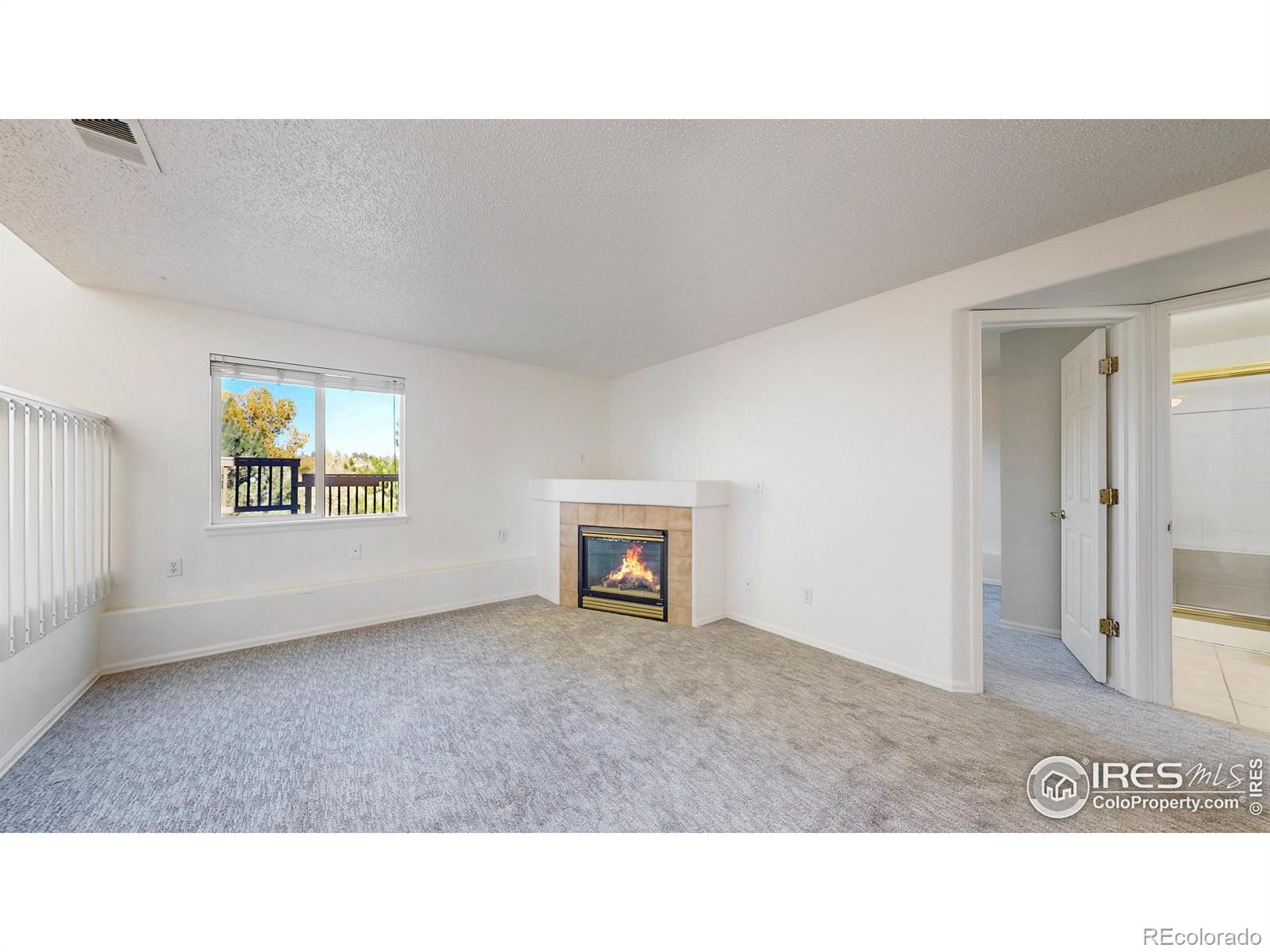 MLS Image #14 for 22077  day star drive,parker, Colorado