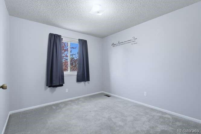 MLS Image #16 for 8653  red clover court,parker, Colorado