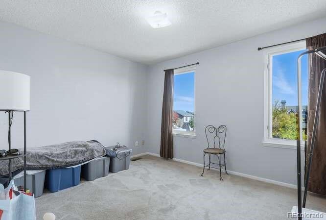 MLS Image #18 for 8653  red clover court,parker, Colorado
