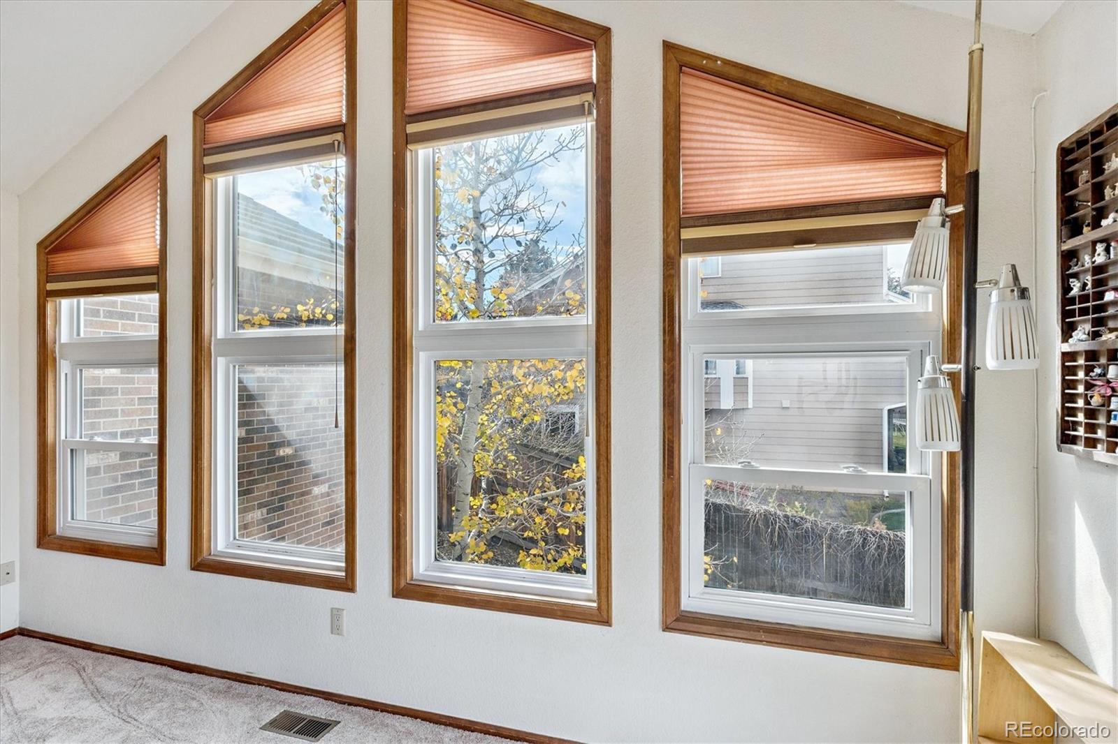 MLS Image #13 for 7073 s robb street,littleton, Colorado