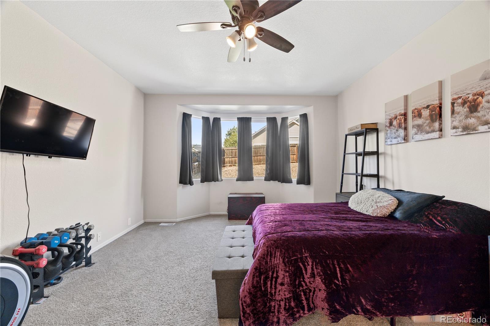 MLS Image #18 for 207  harrow court,brighton, Colorado