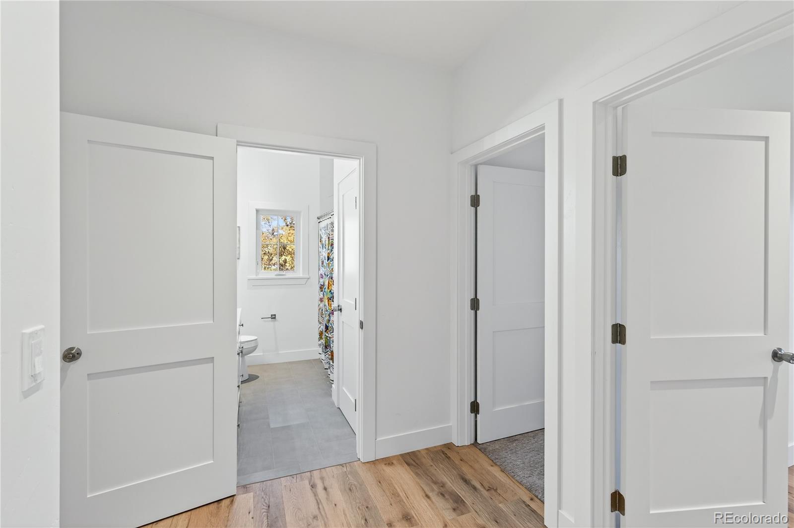 MLS Image #31 for 13  belgian court,silt, Colorado