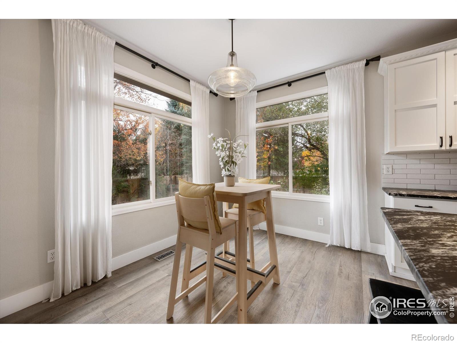 MLS Image #17 for 631  sandreed court,fort collins, Colorado
